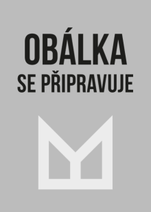 Skleněná lebka