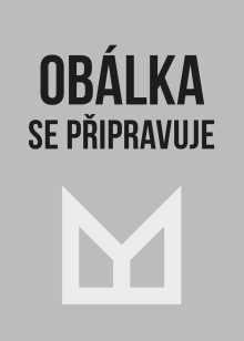 Elrik: Bouřava | de luxe edice